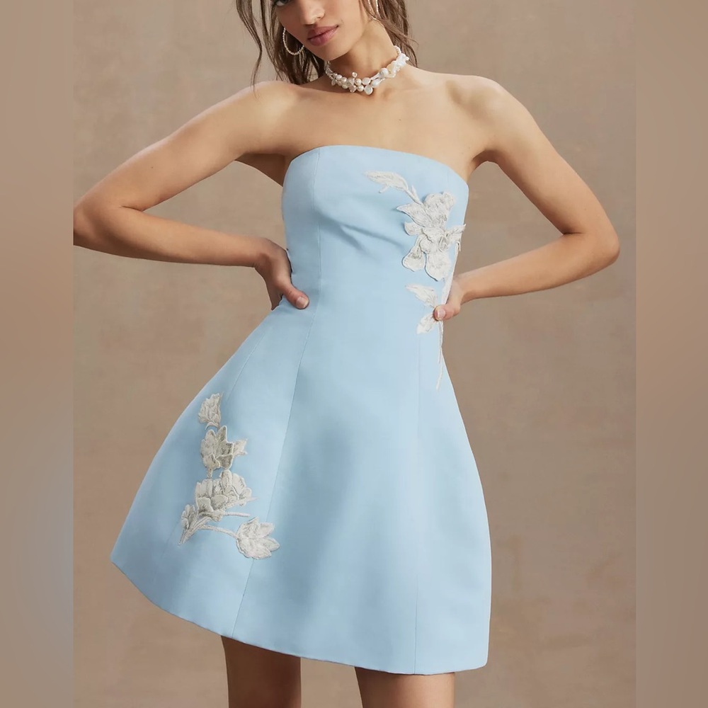 Sachin & Babi Strapless Elanna Embroidered Mini Dress